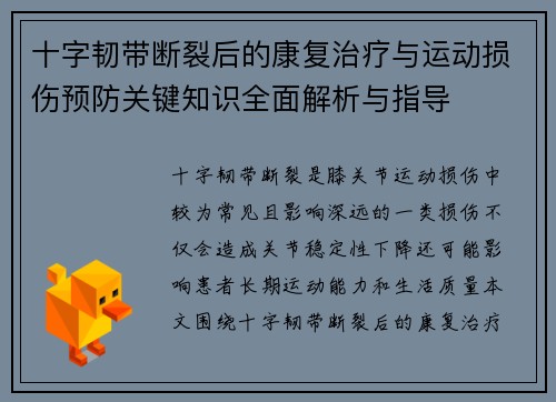 十字韧带断裂后的康复治疗与运动损伤预防关键知识全面解析与指导